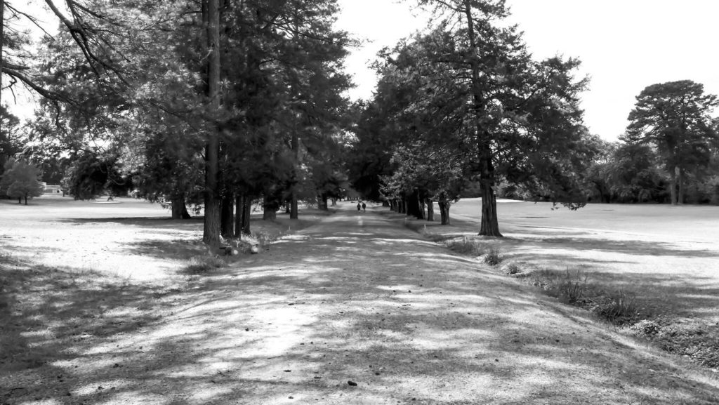 Hillandale Golf Course, Durham, NC Covid19 Closed, for the Moment by Dan Gottlieb