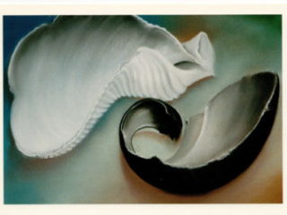 SUE SNEDDON: BROKEN AND PERFECT at Craven Allen Gallery