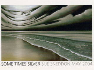 SUE SNEDDON: SOME TIMES SILVER at Craven Allen Gallery