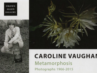 CAROLINE VAUGHAN: METAMORPHOSIS AT CRAVEN ALLEN GALLERY