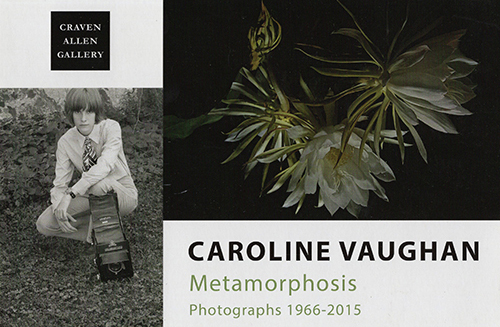 CAROLINE VAUGHAN: METAMORPHOSIS AT CRAVEN ALLEN GALLERY